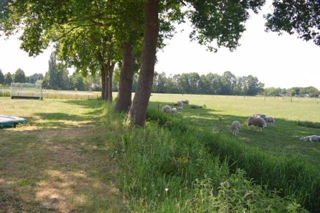Residentie De Hoek Den Dungen Экстерьер фото